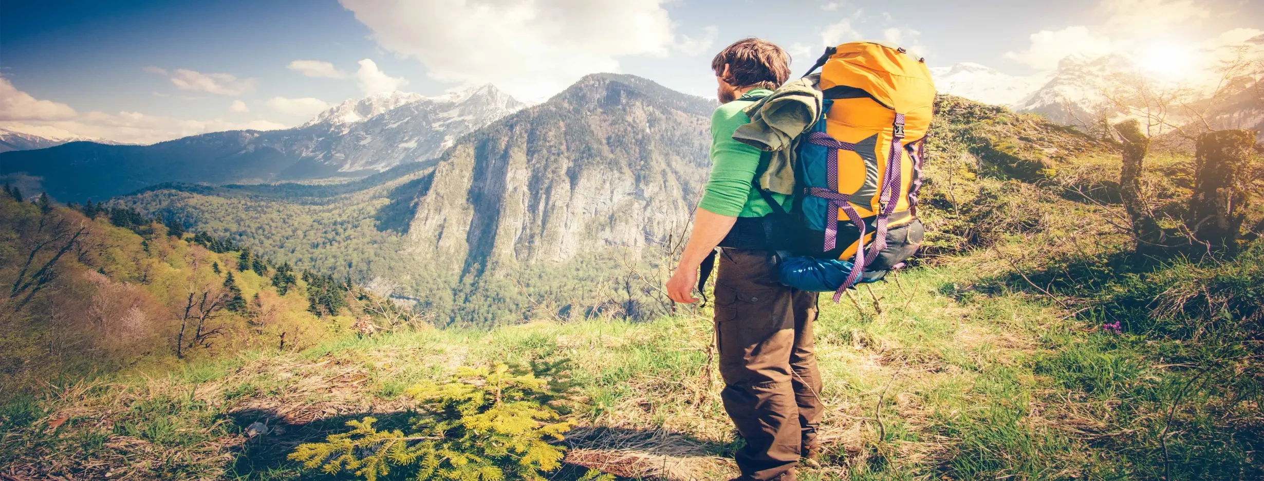 Image for Eco Hiking